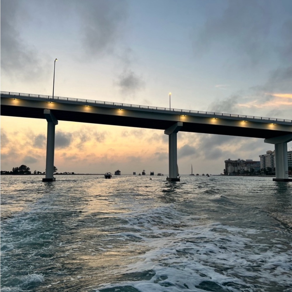 Meet your Posher, Lily